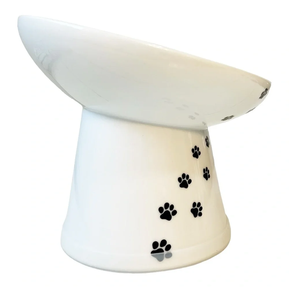 Raised Tilted Ergonomic Cat Feeder Bowl White